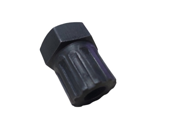 Dado Saca Piñon n°02 para 6 Coronas     NF