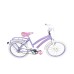 Bicicleta DOLPHIN Rodado 20 c/Freno  y Canasto Desmontable     FF