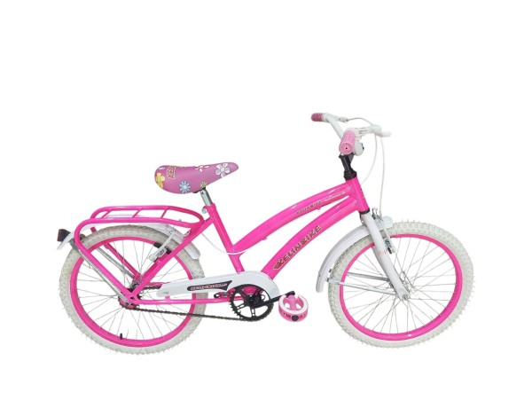 Bicicleta DOLPHIN Rodado 20 c/Freno  y Canasto Desmontable     FF